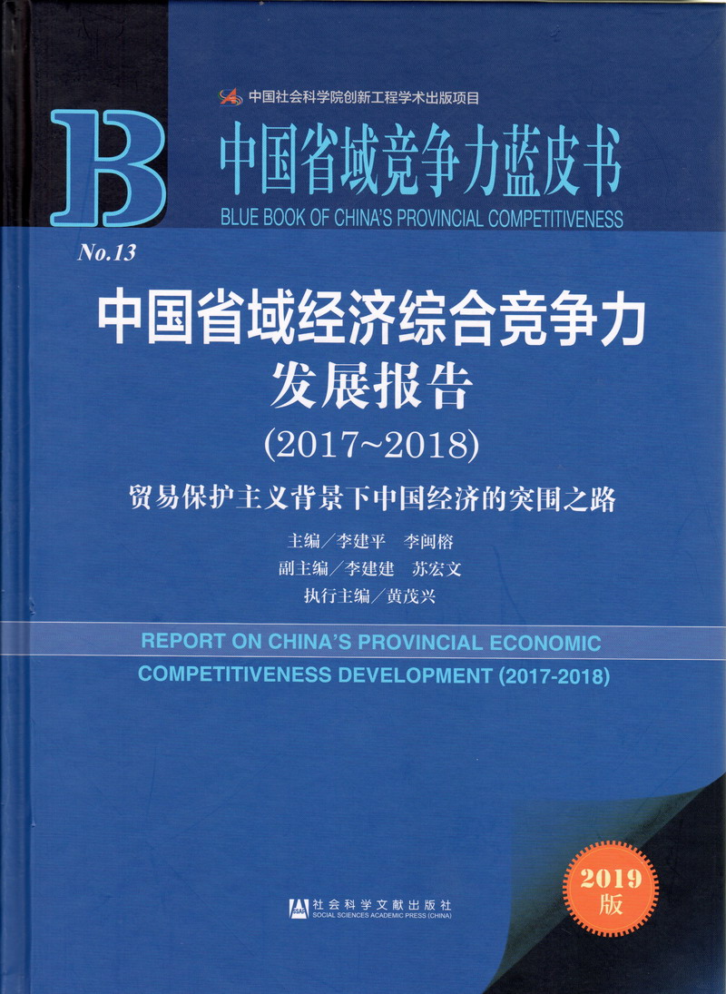 干日本美女b中国省域经济综合竞争力发展报告（2017-2018）